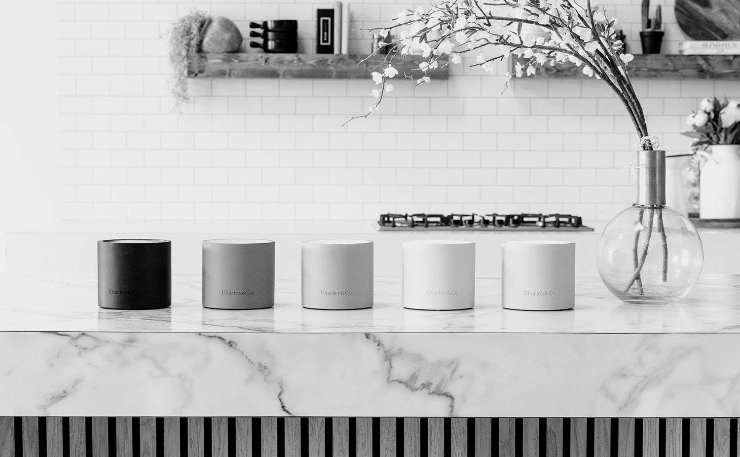 charley-and-co-hannah-lozano-photo-finals-32 (1).jpg__PID:c6d8db39-2a00-49a5-8cf0-a256575da9dd